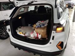 Dongfeng Yixuan GS 2024 Mach Edition 1.5L Automatic Star Radiance Trim - ფოტო 19