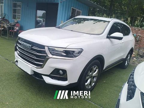 2022 Haval H6 2021 National Trend 1.5T Automatic Champion Edition - ავტომობილი ჩინეთიდან