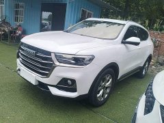 Haval H6 2021 National Trend 1.5T Automatic Champion Edition - ფოტო 2