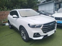 Haval H6 2021 National Trend 1.5T Automatic Champion Edition - ფოტო 4