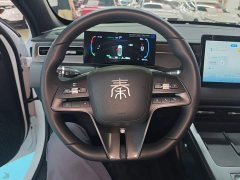 BYD Qin PLUS DM-i Smart Drive Edition 55KM Leading - ფოტო 11