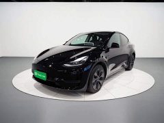 Tesla Model Y 2023 Rear-Wheel Drive - ფოტო 2