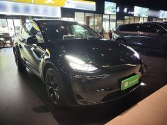 Tesla Model Y 2023 Rear-Wheel Drive - ფოტო 4