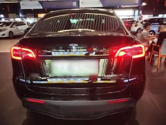 Tesla Model Y 2023 Rear-Wheel Drive - ფოტო 6
