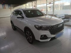 Haval H6 2023 National Trend Edition 1.5T Automatic Champion Version - ფოტო 4