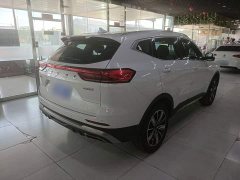 Haval H6 2023 National Trend Edition 1.5T Automatic Champion Version - ფოტო 7
