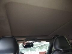 Geely Xingrui Oriental Radiance 2.0T Diesel Moonlight Edition - ფოტო 18