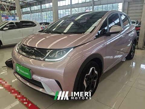 2022 BYD Dolphin 405km Fashion Edition - ავტომობილი ჩინეთიდან