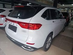 Haval M6 2021 PLUS 1.5T DCT Luxury Smart Connected Edition - ფოტო 7