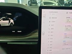 Tesla Model X Dual Motor All-Wheel Drive - ფოტო 14