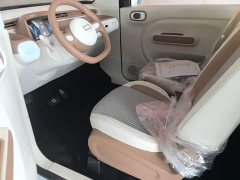 FAW Besturn Xiaoma 222km Colorful Edition - ფოტო 15