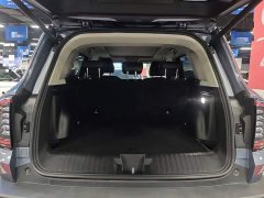 Great Wall Dachshund 2024 1.5T DCT Border Collie Edition - ფოტო 19