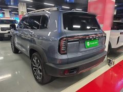 Great Wall Dachshund 2024 1.5T DCT Border Collie Edition - ფოტო 5