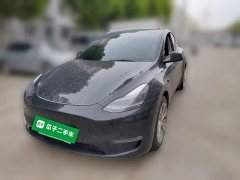 Tesla Model Y Long Range All-Wheel Drive 3D7 - ფოტო 1