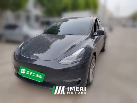 2021 Tesla Model Y Long Range All-Wheel Drive 3D7 - car from China