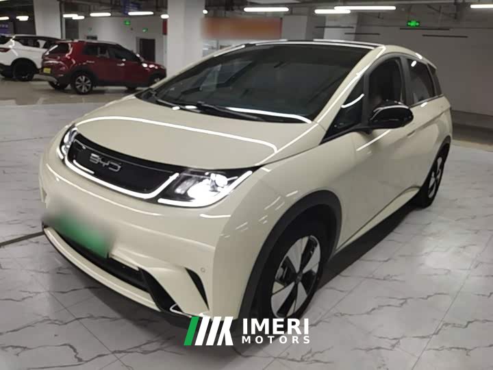 BYD Dolphin 2023 420km Freedom Edition - ავტომობილი ჩინეთიდან