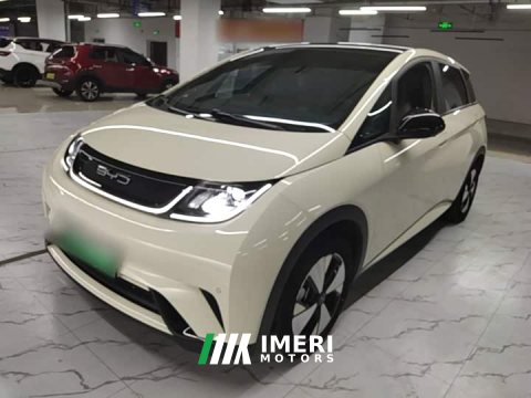 2024 BYD Dolphin 2023 420km Freedom Edition - ავტომობილი ჩინეთიდან