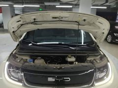 BYD Dolphin 2023 420km Freedom Edition - ფოტო 20