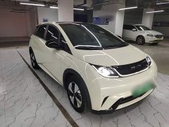 BYD Dolphin 2023 420km Freedom Edition - ფოტო 4