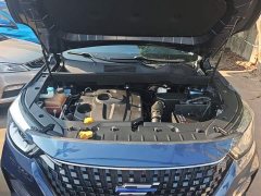 Changan Oushan Cosey Pro 2021 1.5T Automatic Flagship 7-Seater - ფოტო 20