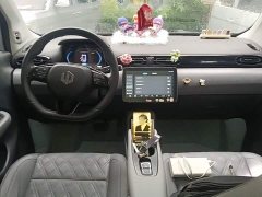 Leapmotor Leapo T03 Star Diamond Edition - ფოტო 10