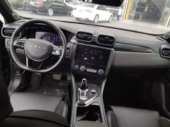 Lynk & Co Geely Lynk & Co 03 2.0T Diesel Automatic Champion Edition - ფოტო 10
