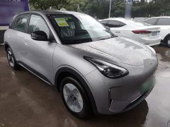 Geely Star Wish 310km Dream Edition - ფოტო 4