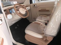 FAW Besturn Xiaoma 222km Colorful Edition - ფოტო 15