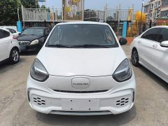 SAIC Clever 311km Vitality Pop Edition - ფოტო 3