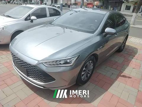 2024 BYD Qin PLUS Glory Edition DM-i 55KM Leading
