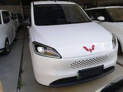 Wuling Hongguang New Energy Extended-Range Hybrid 50KM Comfort - ფოტო 3