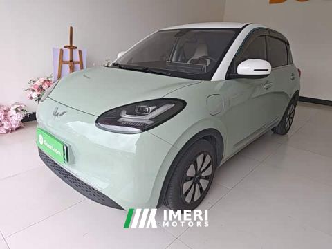 2024 Wuling Binguo 333km Joy Edition - ავტომობილი ჩინეთიდან