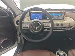 Wuling Binguo 2023 333km Joy Edition - ფოტო 11