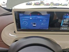 Wuling Binguo 2023 333km Joy Edition - ფოტო 12