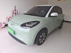 Wuling Binguo 2023 333km Joy Edition - ფოტო 2