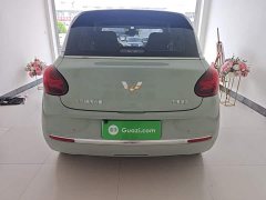 Wuling Binguo 2023 333km Joy Edition - ფოტო 6