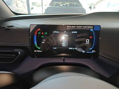BYD Seagull 2025 Smart Drive 305km Vitality Edition - ფოტო 12
