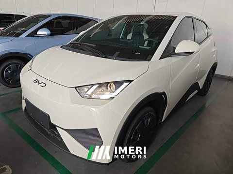 2026 BYD Seagull 2025 Smart Drive 305km Vitality Edition - ავტომობილი ჩინეთიდან