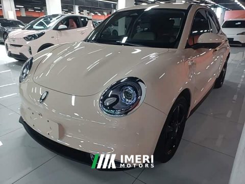 2024 ORA Good Cat 401km Luxury - ავტომობილი ჩინეთიდან