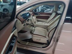 ORA Good Cat 401km Luxury - ფოტო 12