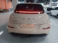 ORA Good Cat 401km Luxury - ფოტო 4