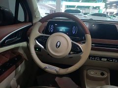 ORA Good Cat 401km Luxury - ფოტო 7