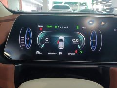ORA Good Cat 401km Luxury - ფოტო 8
