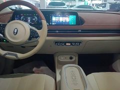 ORA Good Cat 401km Luxury - ფოტო 9