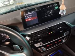 BMW 5 Series 530Li Premier M Sport Package - ფოტო 9