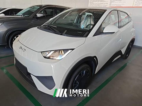 2026 BYD Seagull 2025 Smart Drive 305km Vitality Edition - ავტომობილი ჩინეთიდან
