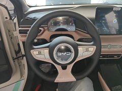 BYD Seagull 2025 Smart Drive 305km Vitality Edition - ფოტო 11