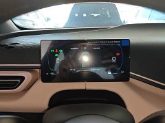 BYD Seagull 2025 Smart Drive 305km Vitality Edition - ფოტო 12