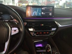BMW 5 Series Facelift 530Li Premier Luxury Package - ფოტო 13