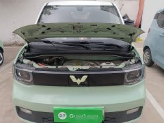 Wuling Hongguang MINIEV Macaron Fashion Edition LFP Battery - ფოტო 20